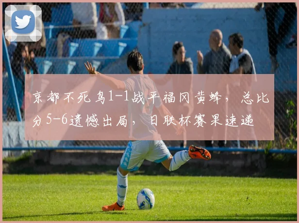 京都不死鸟1-1战平福冈黄蜂，总比分5-6遗憾出局，日联杯赛果速递